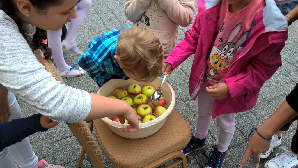 wp_20160918_14_32_28_pro1