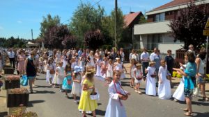 WP_20170615_11_47_06_Pro[1]